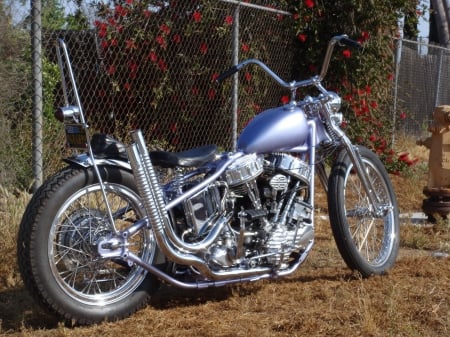 Old Skool Panhead - harley, motorcycle, bike, panhead