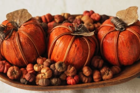 Fruits of Autumn - fall, wooden, decoration, pumpkins, bowl, seasonal, colors