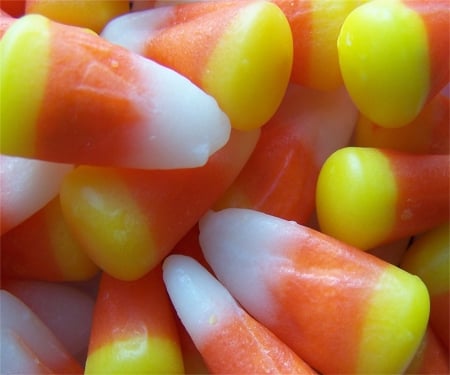 Sweet Corn Treats - trick or treat, candy corn, white, yellow, orange, sweet, candy