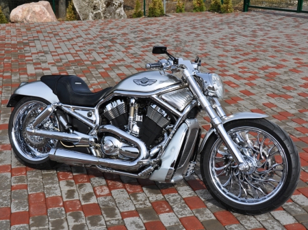 Silver Harley - bike, motorcycle, harley, silver