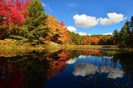 * Autumn lake * - nature, lake, autumn, trees, forest