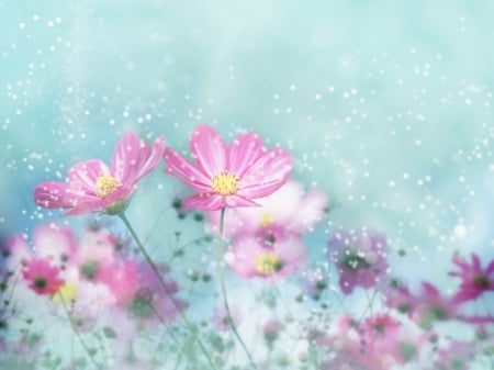 dreamy flower - dreamy, flower, pink, art