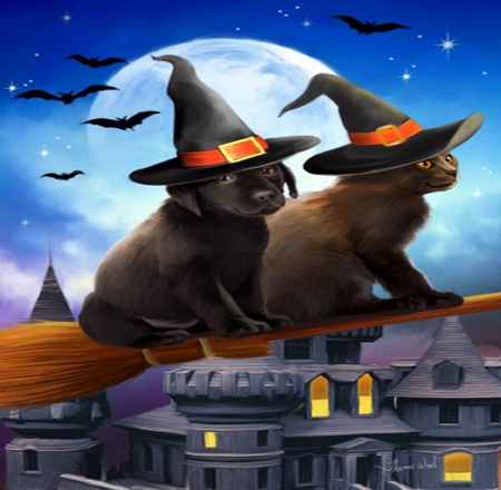 â˜…Travel by Broomâ˜… - best friends, travels, autumn, creative pre-made, pumpkins, halloween, witch hats, pretty, dogs, paintings, cute, lovely, love four seasons, holidays, weird things people wear, broom, cats, colors, fall season