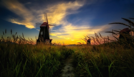 * - landscape, grass, nature, sky