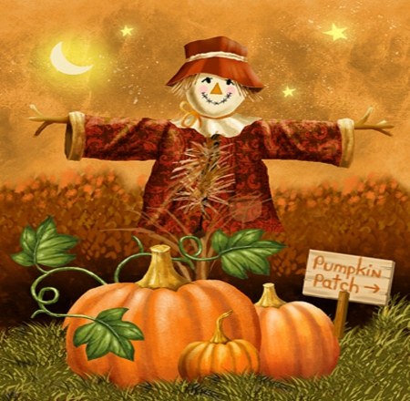 ★Pumpkin Patch★