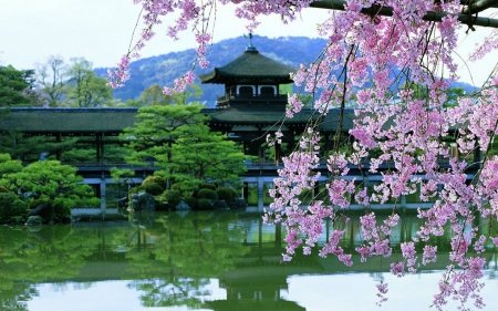 Japanese Garden - japanese garden, nature, architecture, water