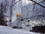 Russian Church through the Trees