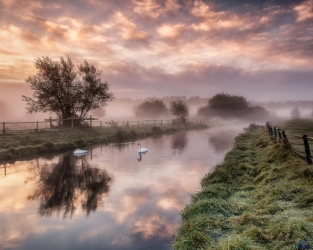 Evening Mist Over the River - nature, trees, evening, reflection, clouds, river, mist