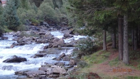 Norsk stream around trollstigen - Stream, forest, Nature, stones