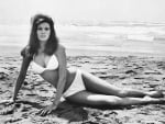 Raquel Welch