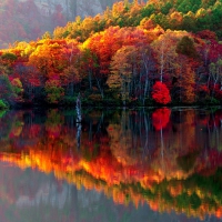 AUTUMN MIRROR