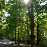 The Great Outdoors