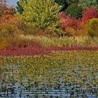 The colors of autumn