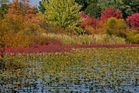 The colors of autumn - autumn colors, fall lake, the colors of autumn, auutmn lake, beautiful autumn, fall colors