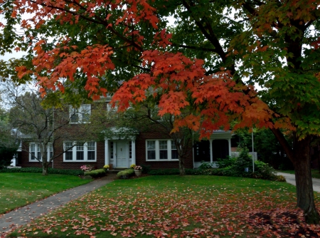 House of fall - autumn tree, fall colors, autumn house, autumn colors, house of fall