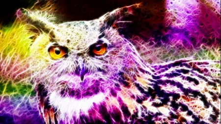 Paint My Feathers - animals, fantasy, colours, fractal, owls, birds