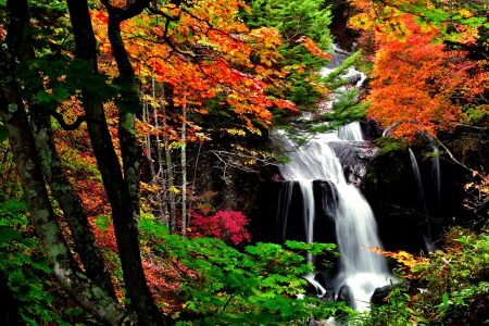 AUTUMN  FALLS - waterfalls, forest, foliage, autumn