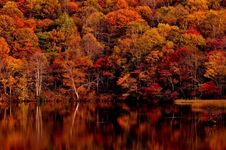 AUTUMN COLORS - lake, autumn, forest, trees