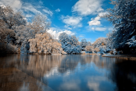 * Winter * - lake, trees, winter, nature