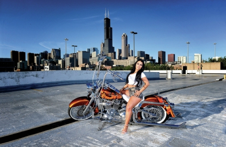 2006-Harley-Davidson-Fat-Boy - hot, hd, bike, model