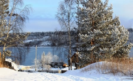 * Winter * - lake, trees, winter, nature