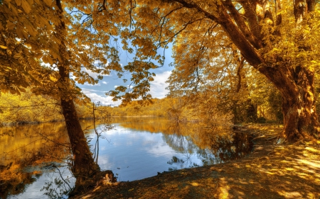 * Autumn lake * - fall, lakel, trees, nature, autumn