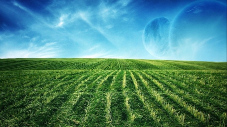 natural greenery - sky, green, grass, blue