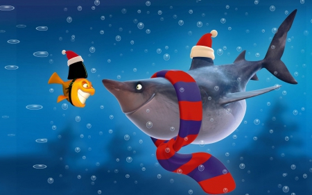 christmas shark - shark, hat, fish, scarf, christmas