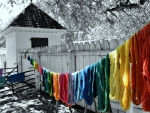 Dyed Yarn Drying on the Line