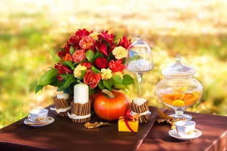 Autumn Beauty - romantic, table, grass, saucer, pumpkin, still life, flowers, cinnamon sticks, autumn, ribbon, candles, gift, autumn leaves, tea cup