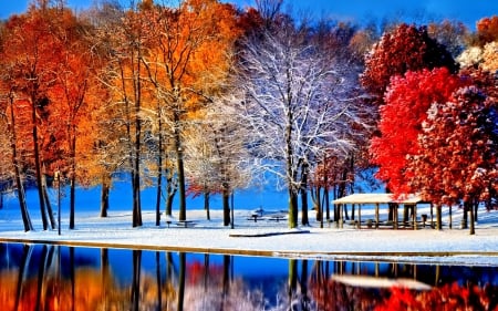 AUTUMN TREES on SNOW LAND - autumn, trees, photography, water, snowland, tree, photograph, lake, landscape, falls, winter, nature, snow, beautiful, splendor, seasons, scenery, leaves, colors