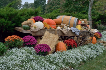 Autumn Scene - autumn scene, scenic harvest, beautiful harvest, scenic autumn, harvest scene