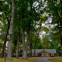 House in the woods