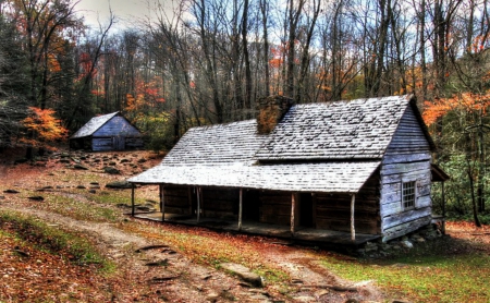 Cabins in Gatlinburg ,Tn - Cabins, trees, dirt road, autumn