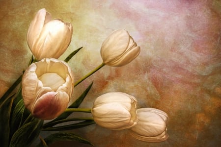 Tulips - flowers, tulips, flower, still life