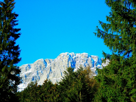 Mountain through the Trees - nature, mountains, sky, trees