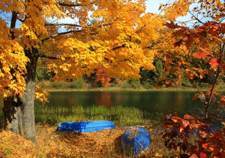 Boats by Autumn Lake - lakes, nature, boats, trees