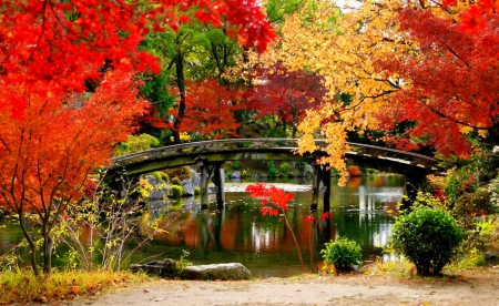 Autumn park - fall, foliage, beautiful, leaves, bridge, lake, pond, nature, park, autumn, colorful