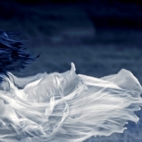 Ghost Wind