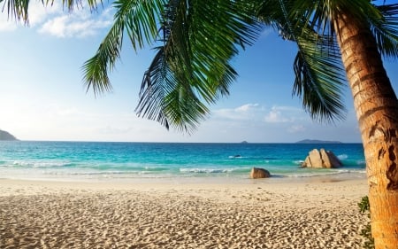 * Beach in paradise * - nature, beach, ocean, paradise