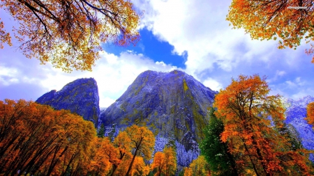 Rocky Mountains in Autumn - clouds, fall, trees, splendor, peak, colors