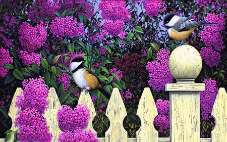 ★Sweet Love Song★ - pretty, birds, creative pre-made, beautiful, paintings, spring, colors, lovely, fence, sweet, flowers, nature, beloved valentines, cute, love four seasons, animals