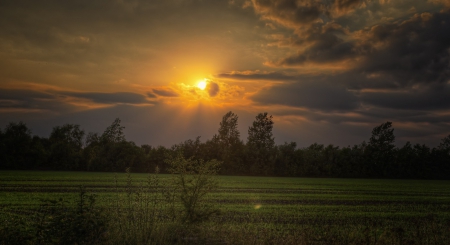 ✿⊱•╮╭•⊰✿ - trees, night, sunset, nature