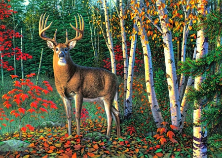 â˜…Autumn Sentinelâ˜… - wide screen, autumn, buck, trees, animals, creative pre-made, painting, fall, art, pretty, artwork, paintings, cute, wildlife, forests, lovely, deer, stag, nature, love four seasons, forest, beautiful, leaves, animal, sentinel, colors, fall season