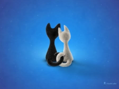 2 Cats - black, white, vladstudio, Cats, animals