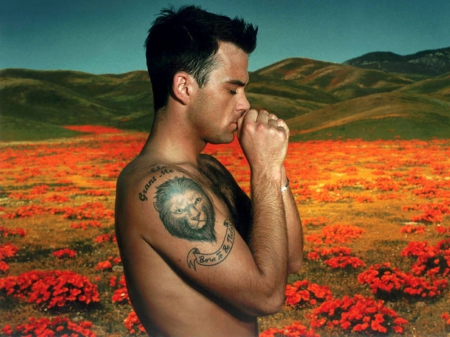 robbie williams - flowers, hills, robbie, wiliams