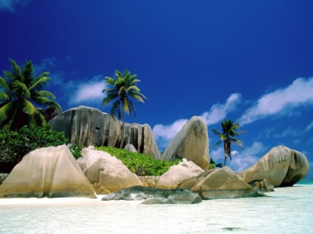 la digue islands - rock, grass, beach, tree