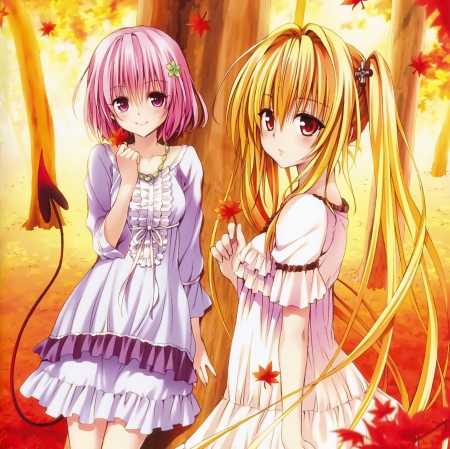 Autumn Leaf - gown, forest, blond hair, beautiful, blonde, anime girl, girl, blond, blonde hair, pink hair, pretty, short hair, beauty, sweet, anime, dress, long hair, nice, lovely, woods, female