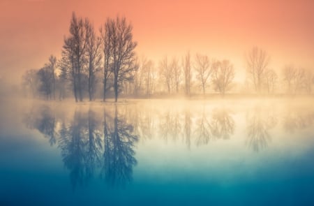 Trees - river, trees, shore, nature, reflrction, sunrise