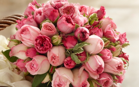 pink rose bouquet - flowers, bouquet, still life, pink roses